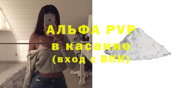прущие грибы Строитель