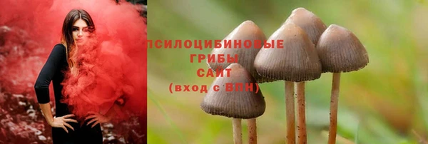 гидропоника Богородицк